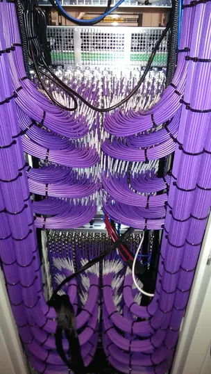 purple_rack